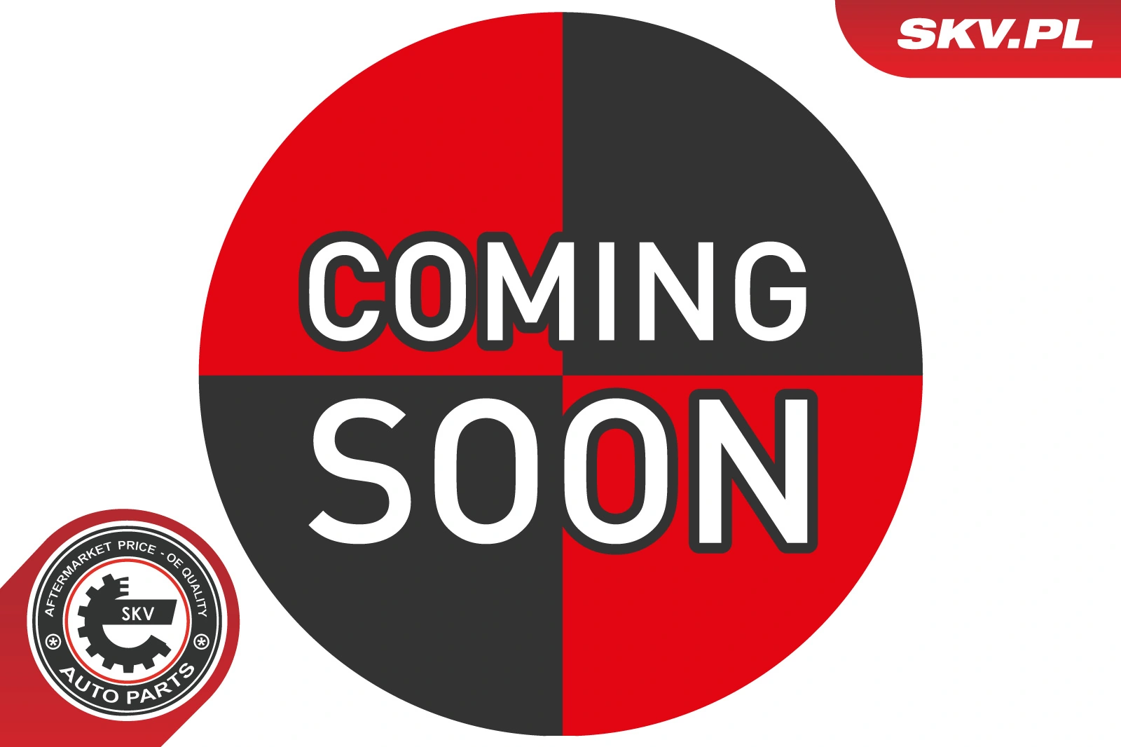 Gear Shift Lever Knob 63SKV195