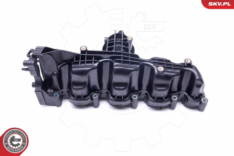 Intake Manifold Module 49SKV040
