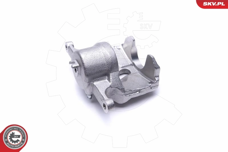 Brake Caliper 55SKV981