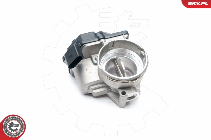 Throttle Body 12SKV044