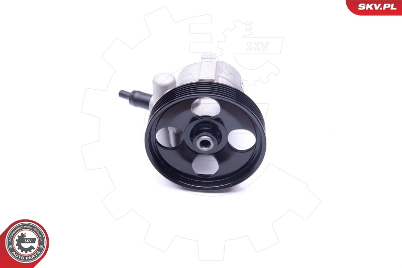 Hydraulic Pump, steering 10SKV281