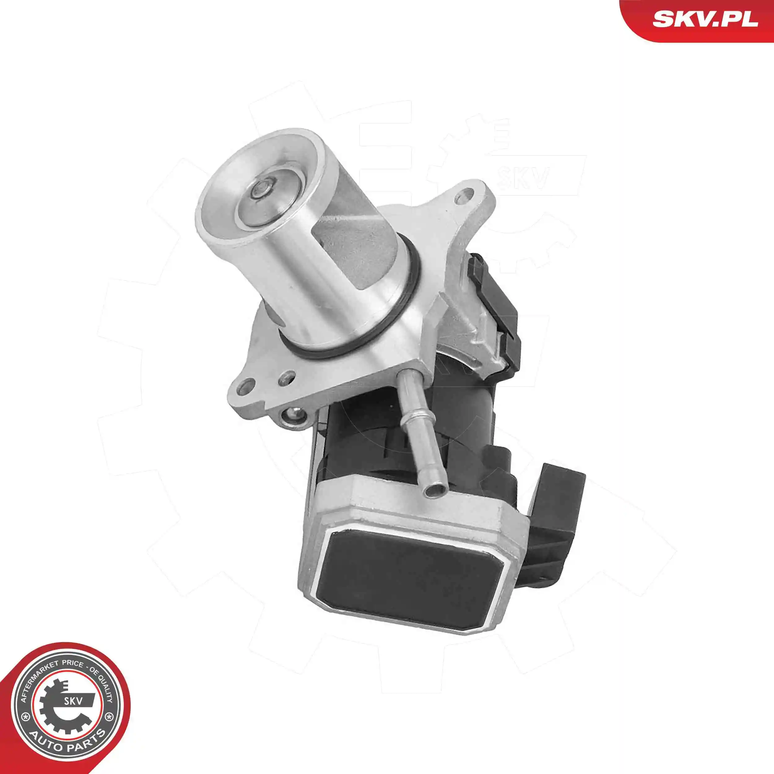 EGR Valve 14SKV310