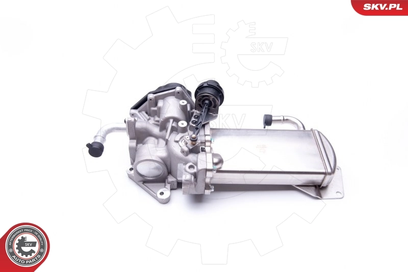 EGR Valve 14SKV154