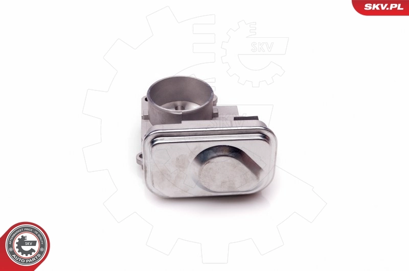 Throttle Body 12SKV066