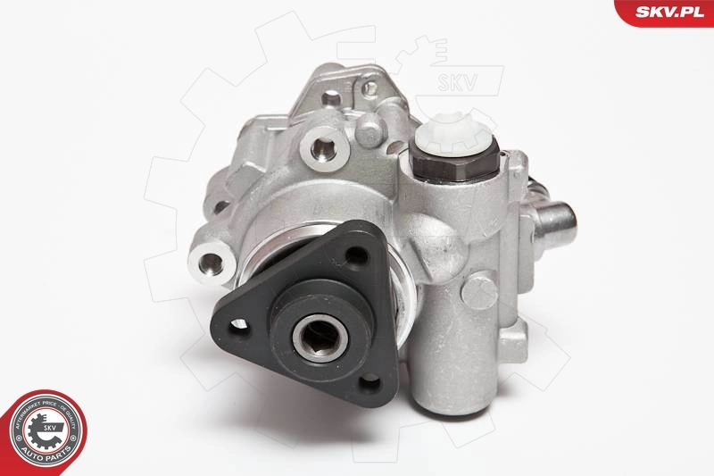 Hydraulic Pump, steering 10SKV072