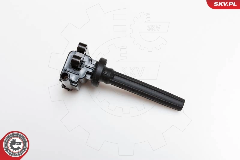 Ignition Coil 03SKV080