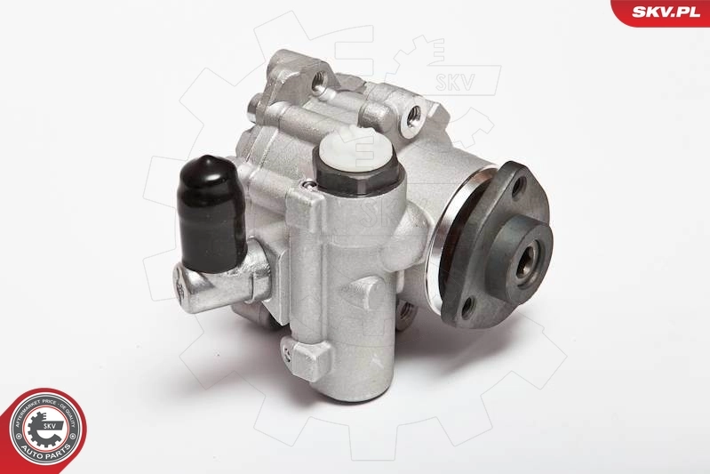 Hydraulic Pump, steering 10SKV043