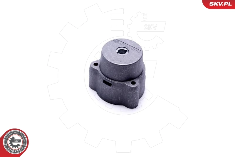 ESEN SKV 96SKV931 Ignition Switch