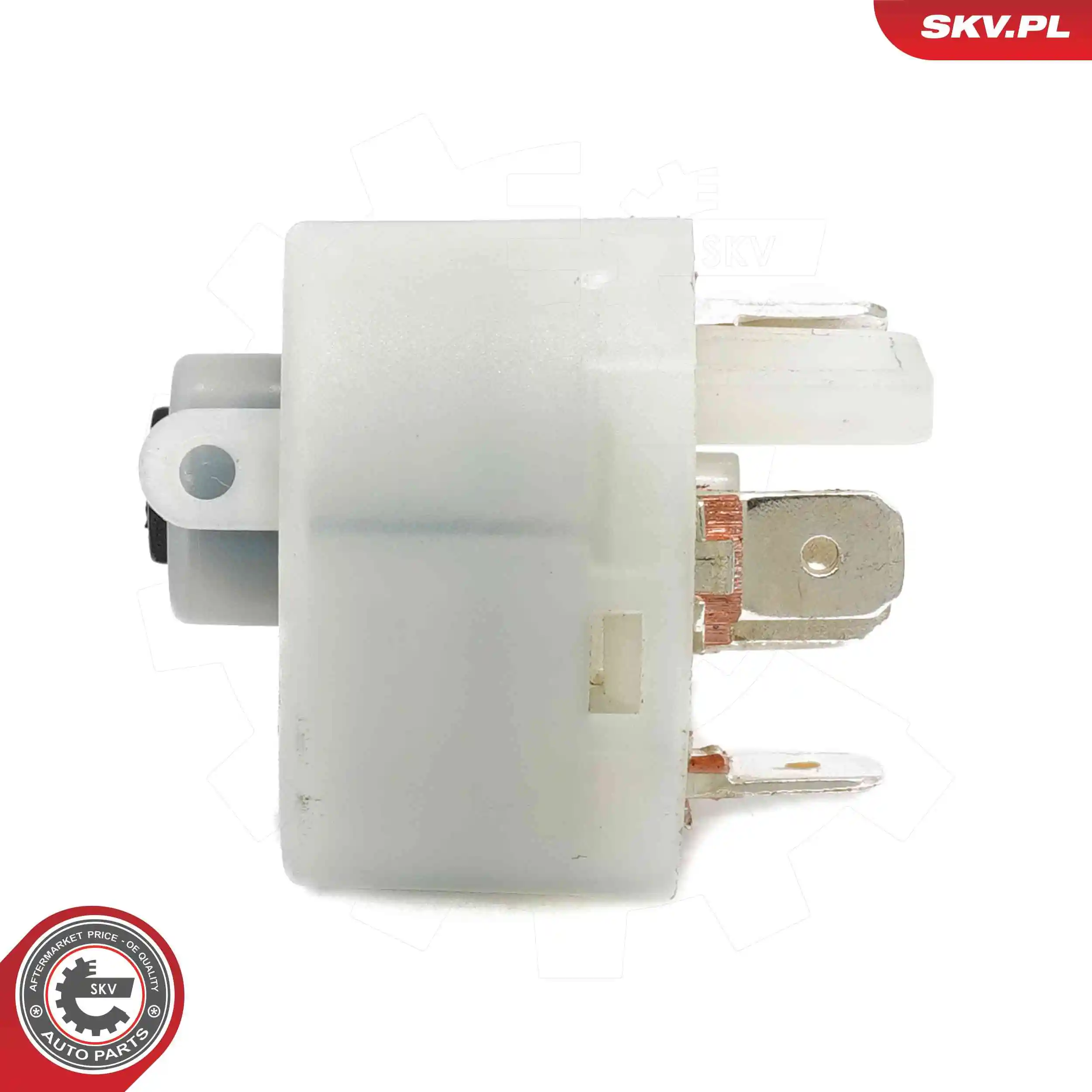 Ignition Switch 65SKV023