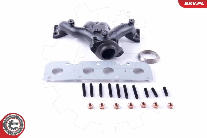 Manifold, exhaust system 49SKV050