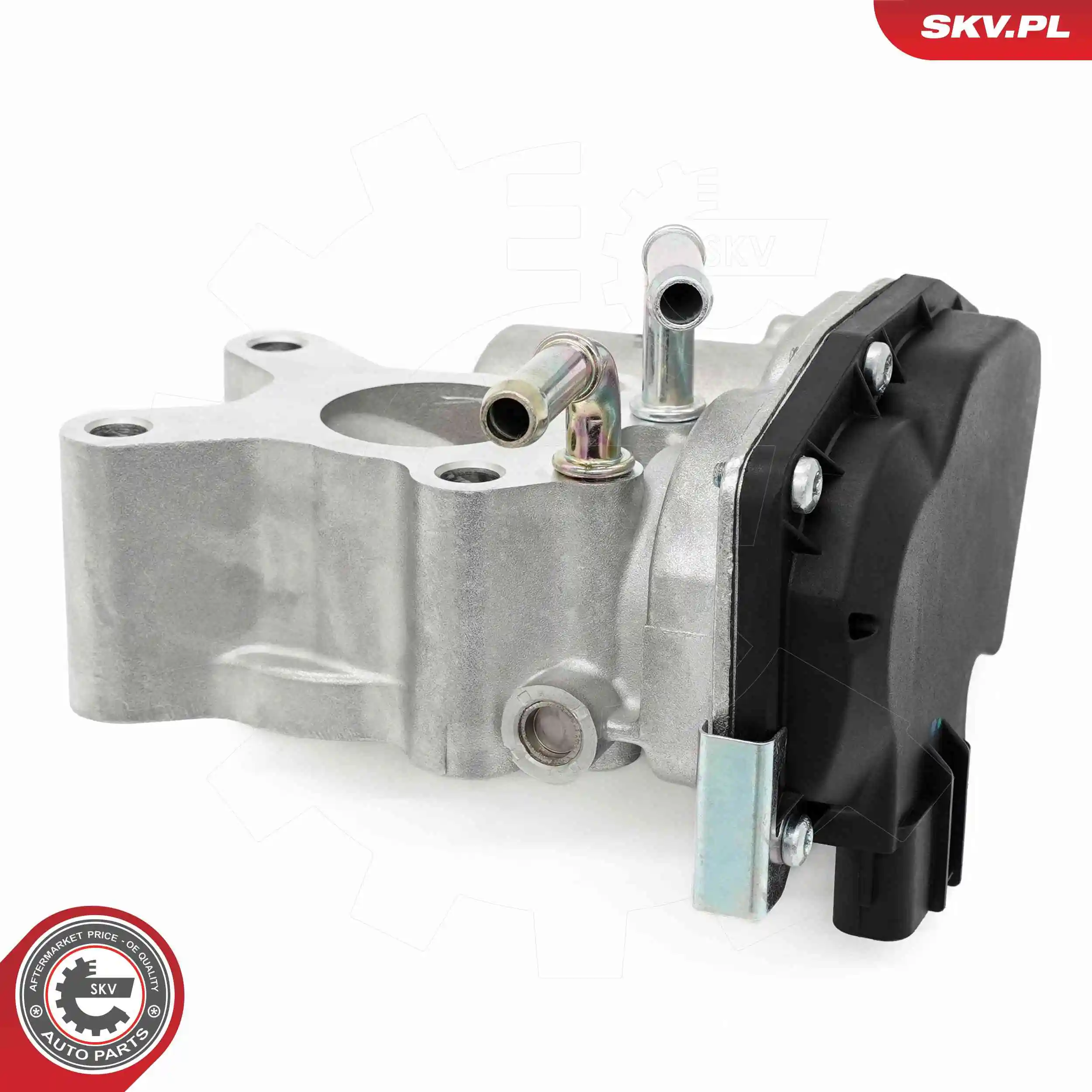 ESEN SKV 14SKV265 EGR Valve