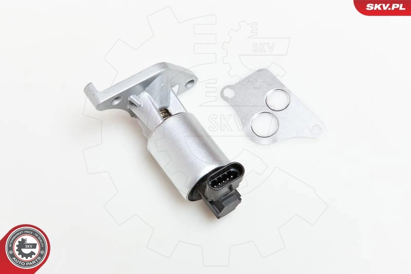 EGR Valve 14SKV013