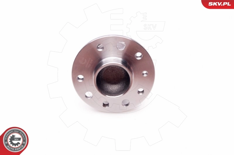 Wheel Bearing Kit 29SKV018