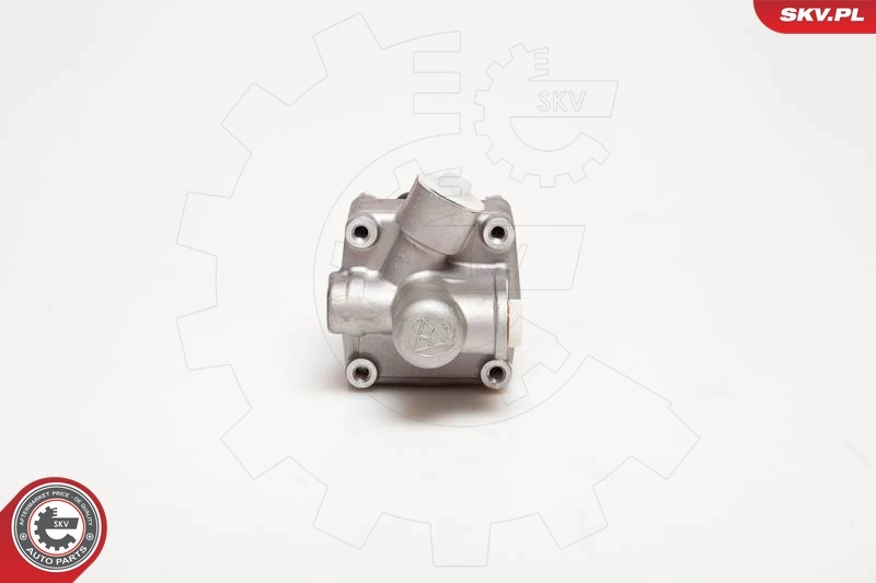 Hydraulic Pump, steering 10SKV005