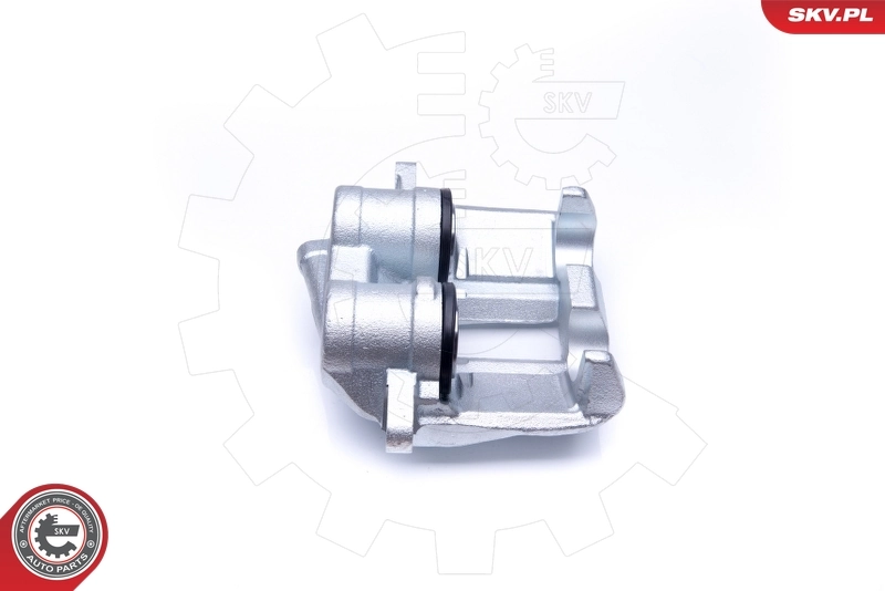 Brake Caliper 42SKV741