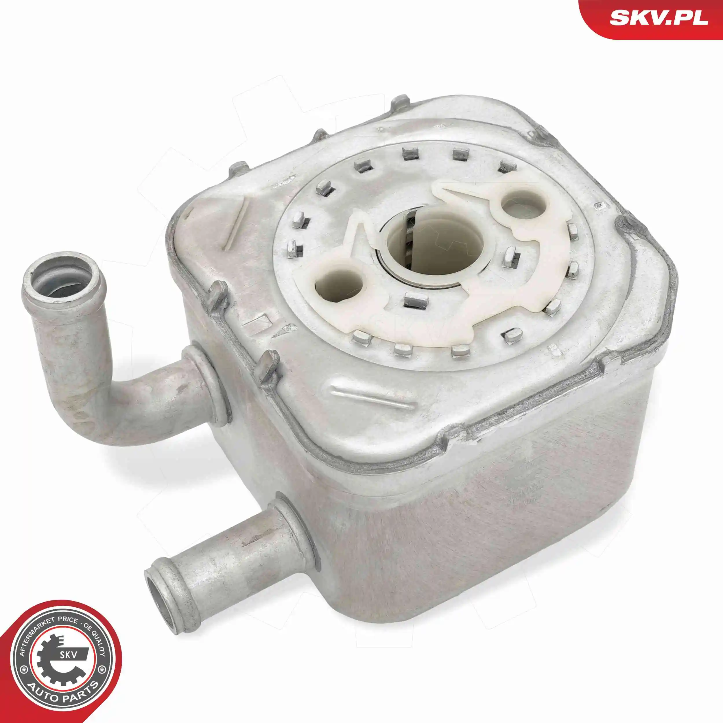 Oil Cooler, engine oil 31SKV292