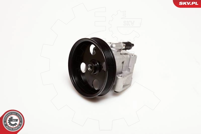 Hydraulic Pump, steering 10SKV050