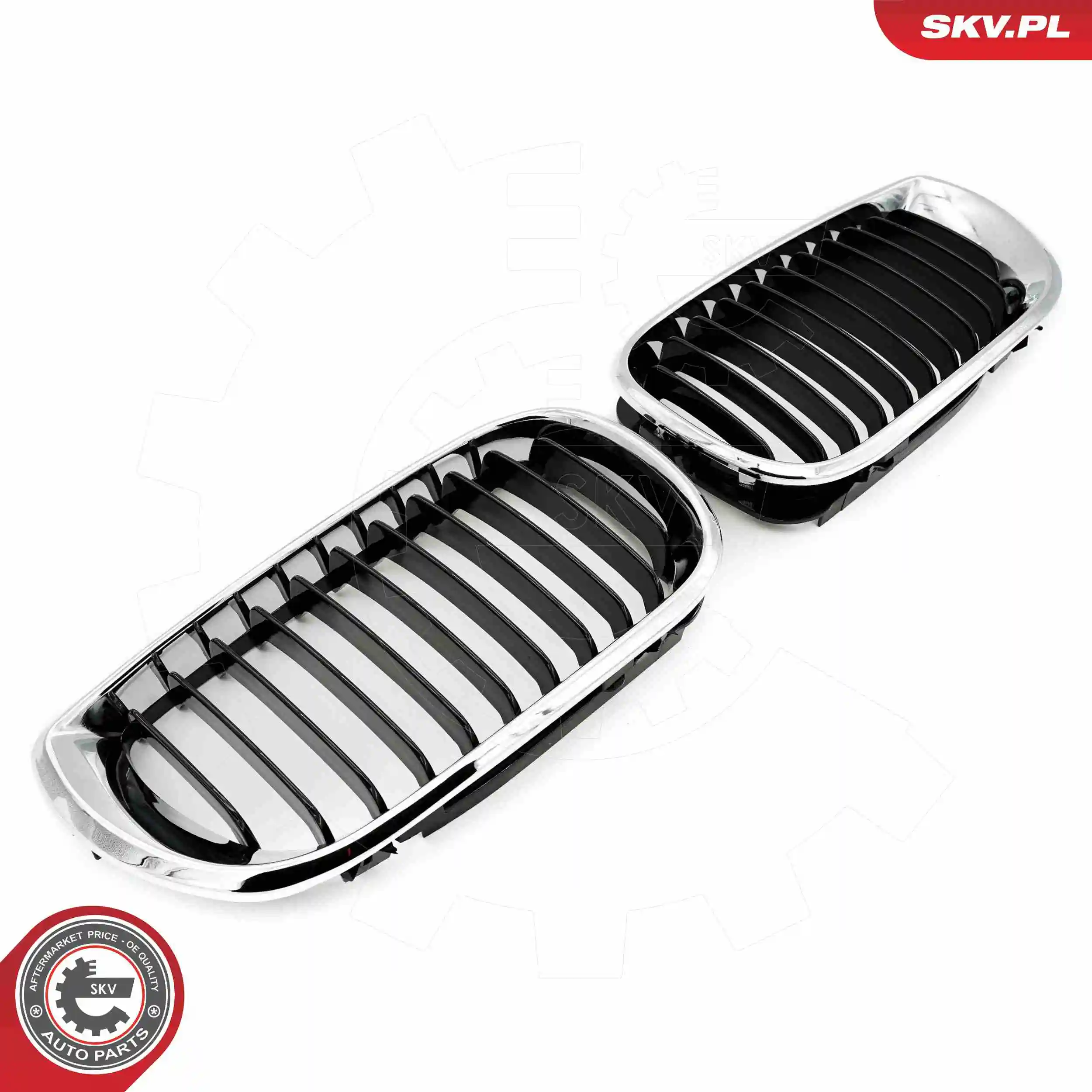 ESEN SKV 66SKV079 Radiator Grille