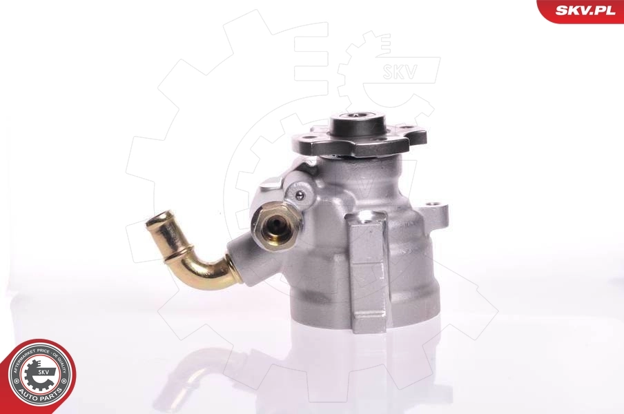 Hydraulic Pump, steering 10SKV133