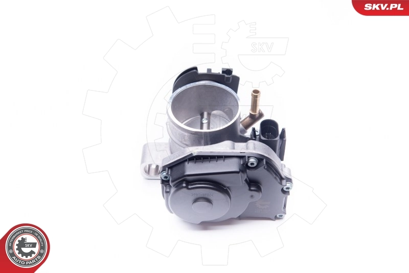 Throttle Body 12SKV035