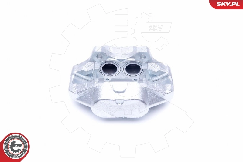 Brake Caliper 45SKV501
