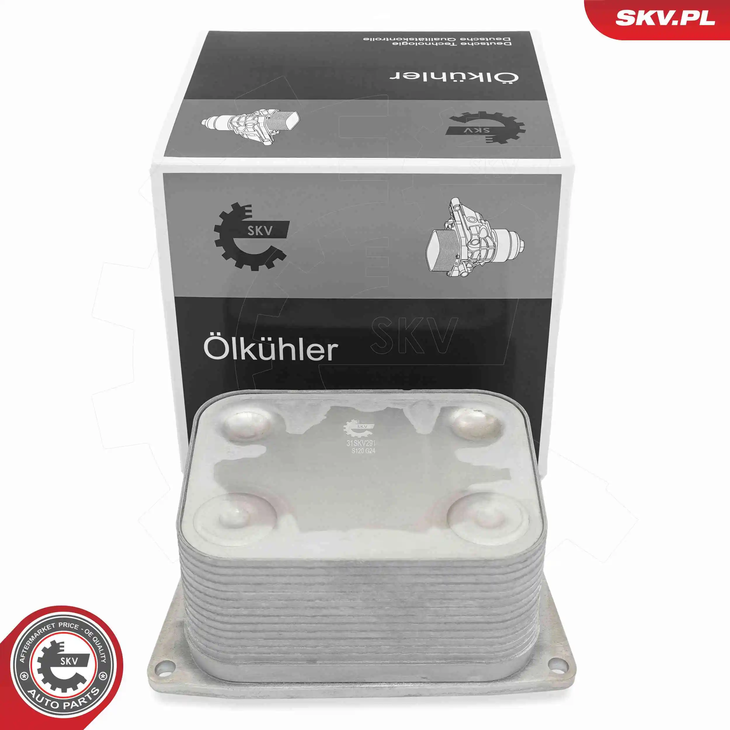 Oil Cooler, engine oil 31SKV291