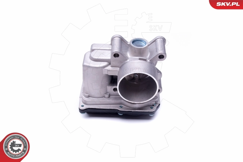 Throttle Body 12SKV076