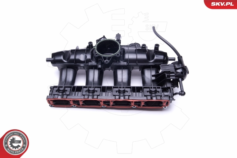 Intake Manifold Module 49SKV003