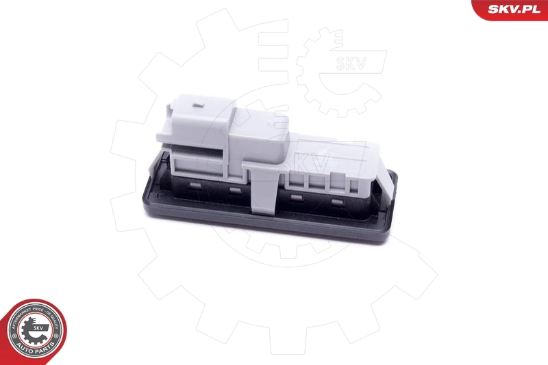 ESEN SKV 38SKV823 Switch, door lock