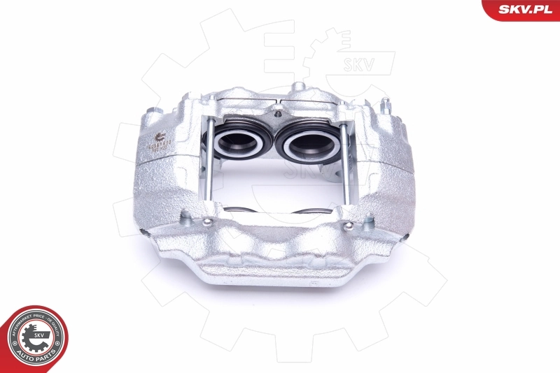 Brake Caliper 42SKV832