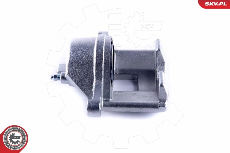 Brake Caliper 55SKV461
