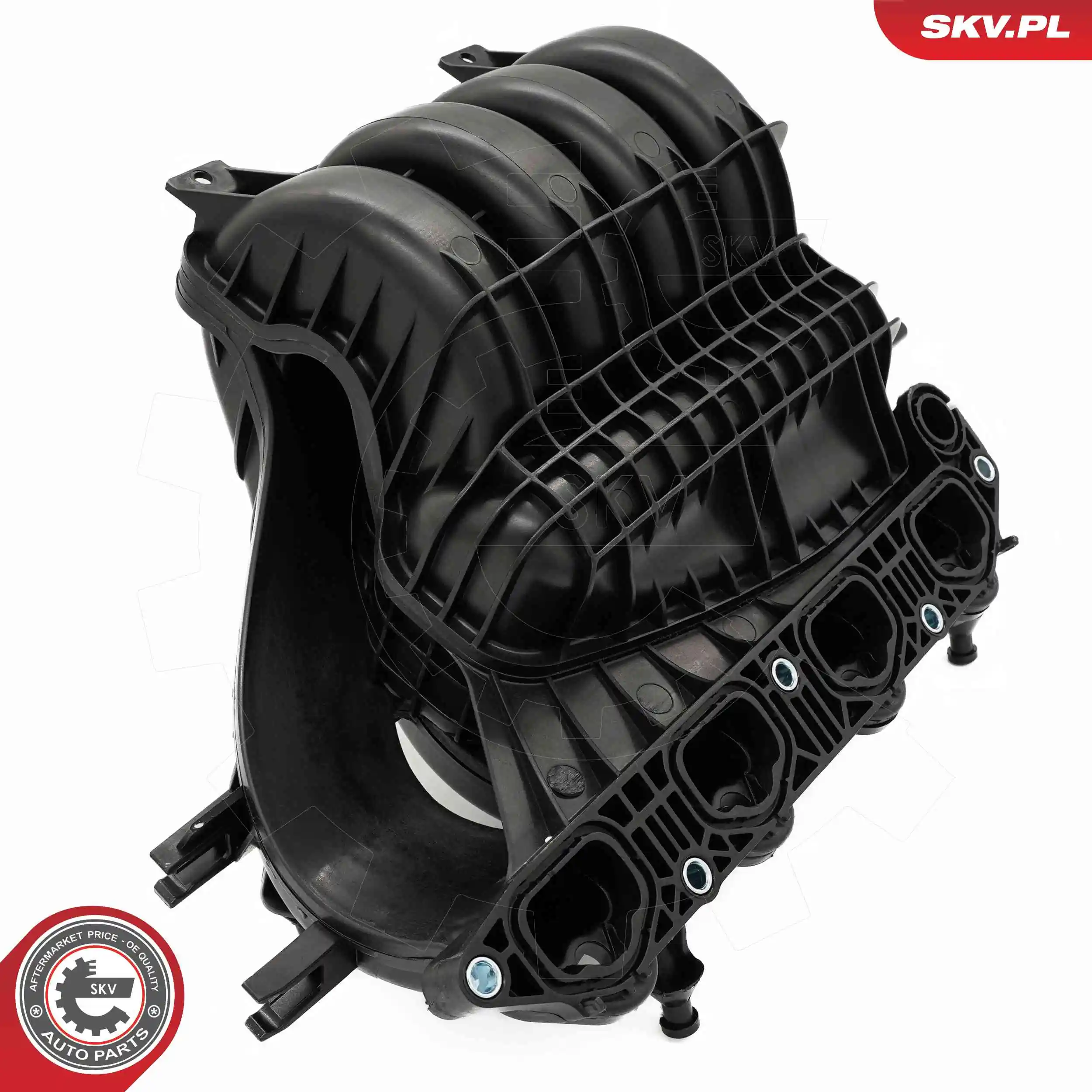 Intake Manifold Module 49SKV087