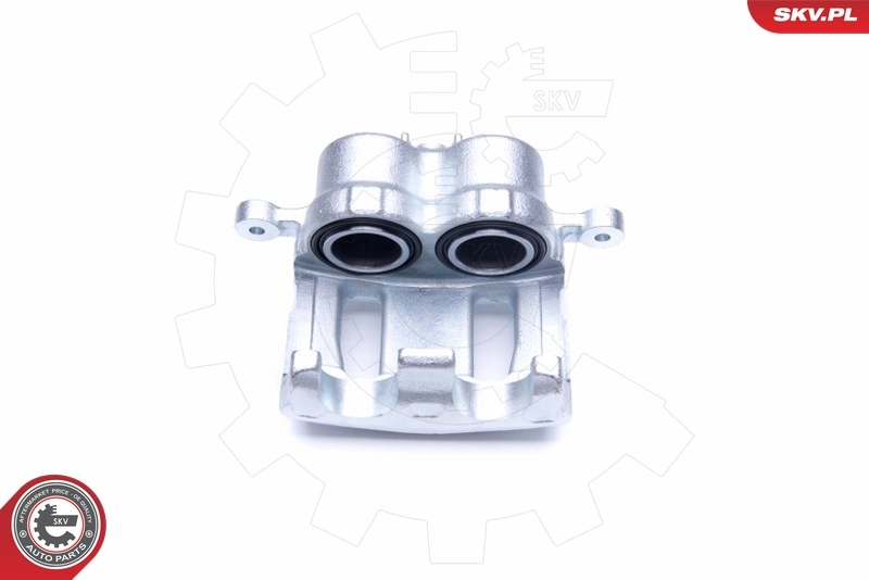 Brake Caliper 44SKV111