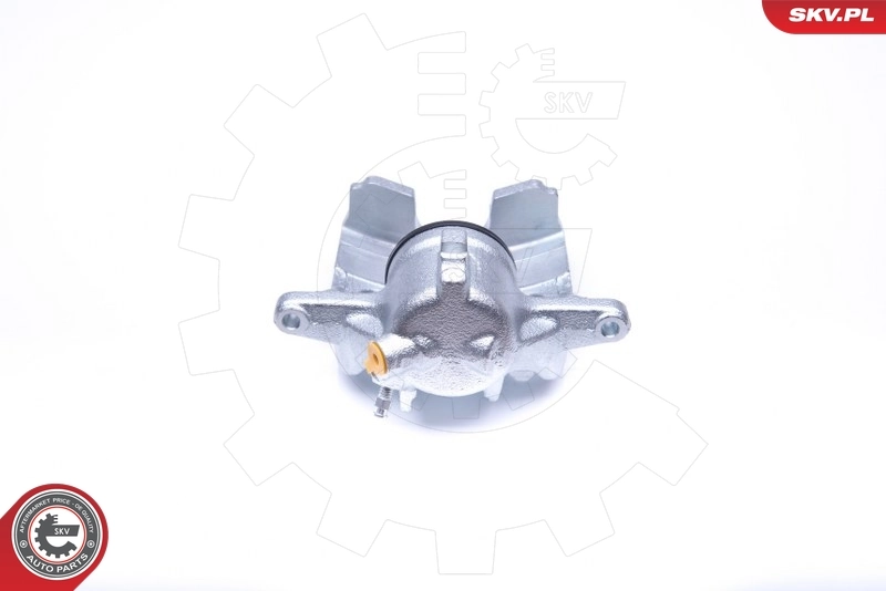 Brake Caliper 42SKV762