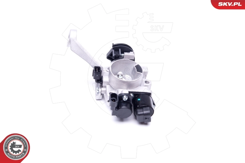 Throttle Body 12SKV083
