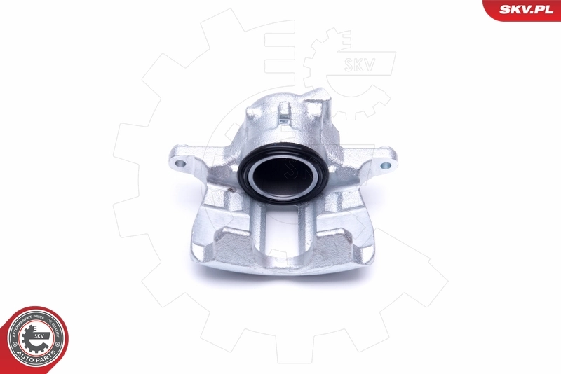 Brake Caliper 50SKV332