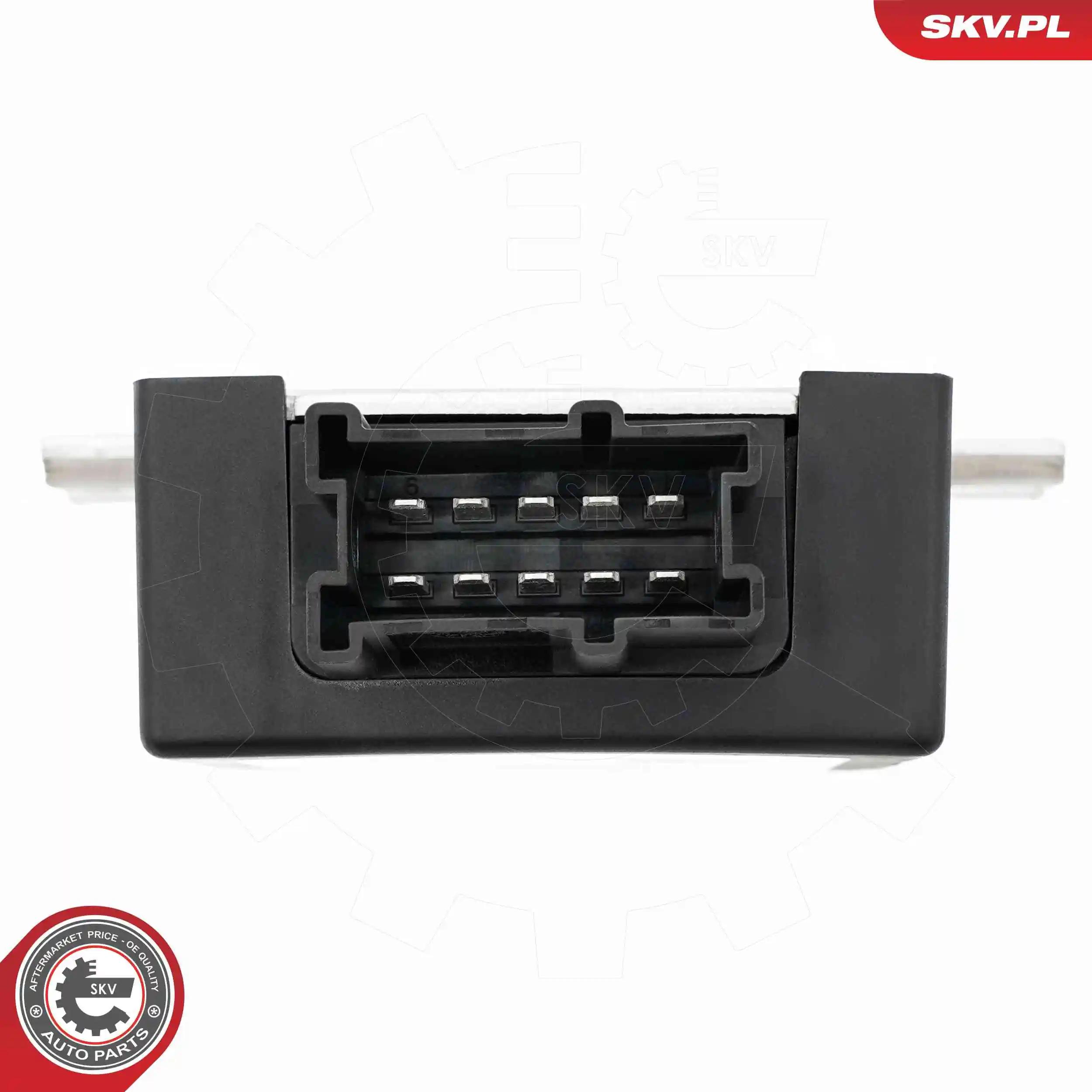 ESEN SKV 96SKV976 Control Unit, fuel pump
