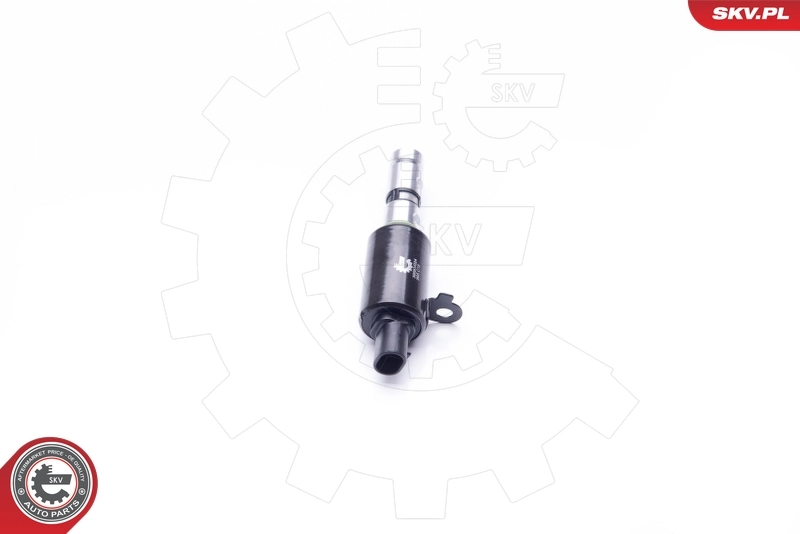 Control Valve, camshaft adjustment 39SKV024