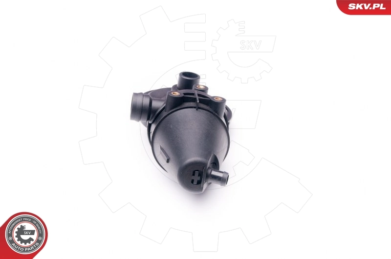 Repair Kit, crankcase ventilation 31SKV039