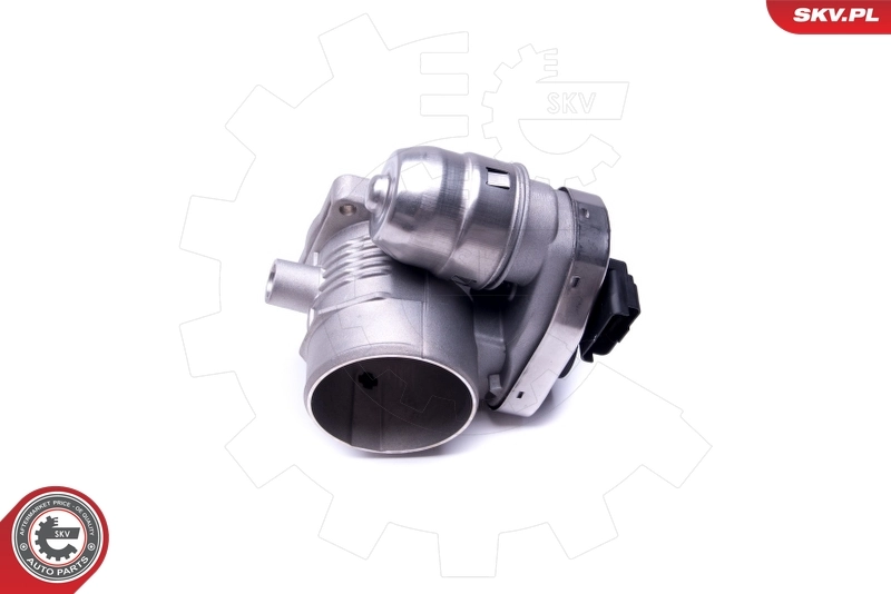 ESEN SKV 12SKV080 Throttle Body