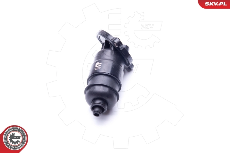 Hydraulic Filter, automatic transmission 31SKV056