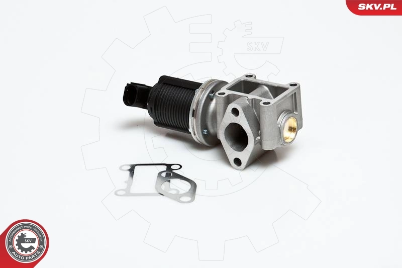EGR Valve 14SKV012