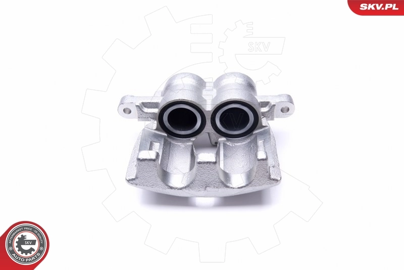Brake Caliper 46SKV773