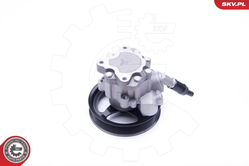 Hydraulic Pump, steering 10SKV266