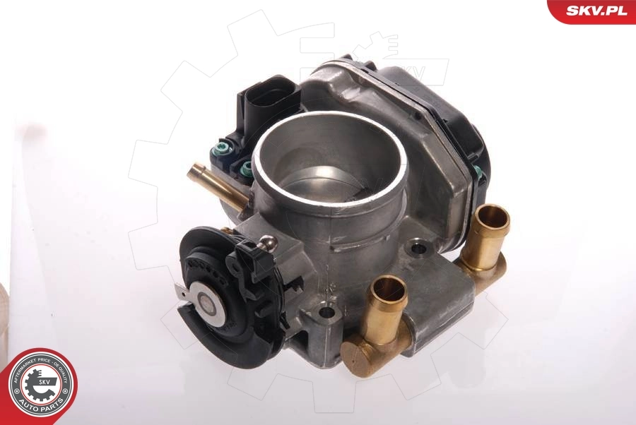 Throttle Body 12SKV018