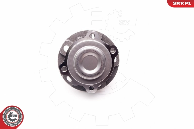 Wheel Bearing Kit 29SKV104