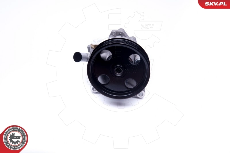 Hydraulic Pump, steering 10SKV271