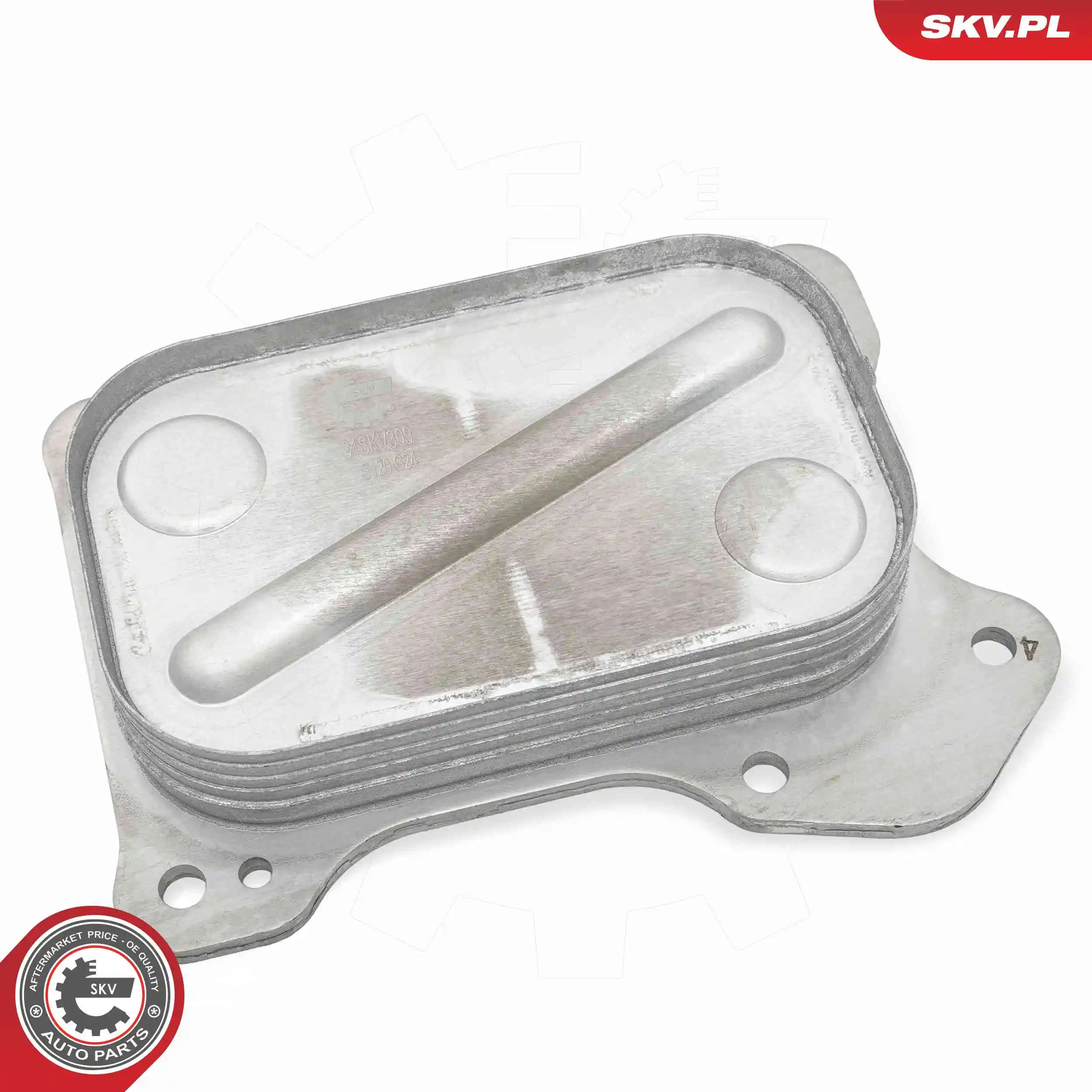 Oil Cooler, engine oil 31SKV309