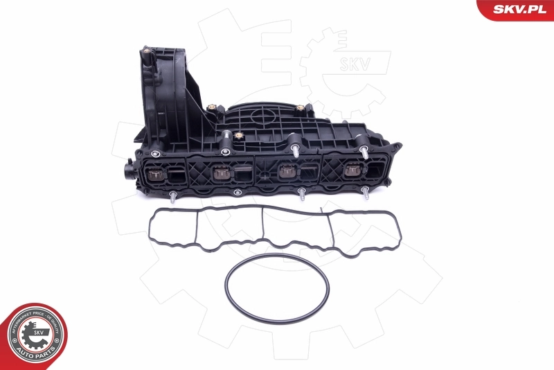 Intake Manifold Module 49SKV014