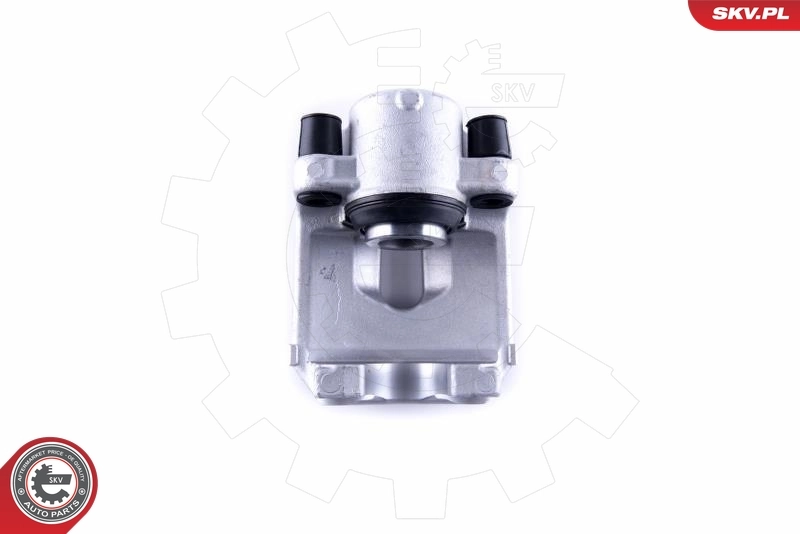 Brake Caliper 55SKV333